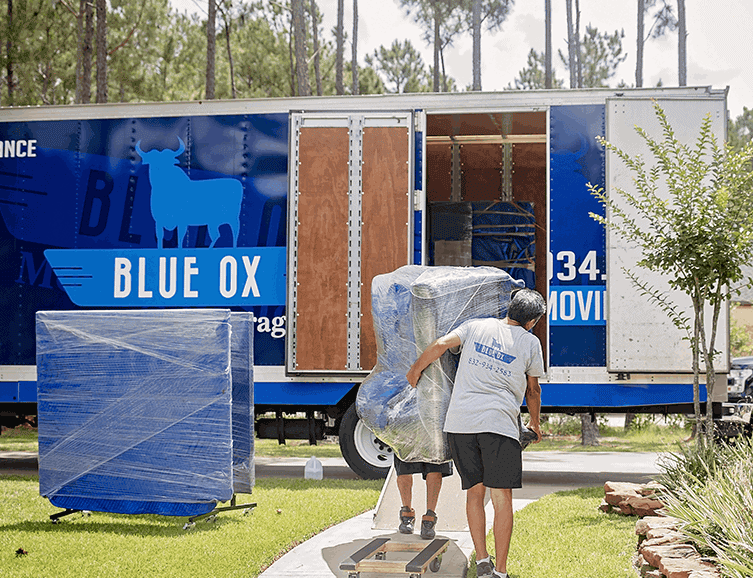 Blue-Ox-team-loading-a-truck-with-couch