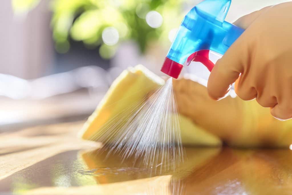 How to Clean and Organize Your Home after Your Move