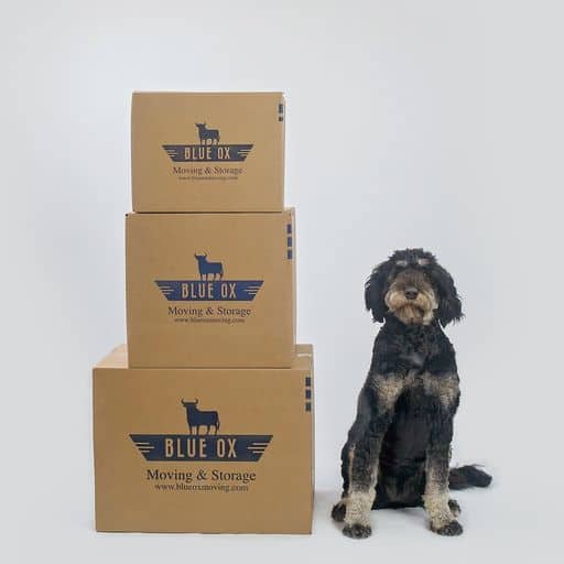 houston moving company with mabel the dog